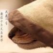 阳光的干脆面