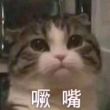 百度用户UID1342067917 云闹闹啊 再见江湖😷 的头像