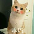白*紫璎