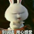 鱼爸爸1314