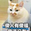 百度用户UID796551648 null 贴吧用户_0eeX8ZS 的头像