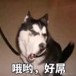 百度用户UID74367459 影舞雪 null 的头像
