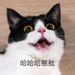 屠龙斩倚天切