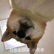 百度用户UID2327557628 ID淡墨痕 null 的头像