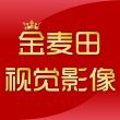 金**视觉