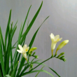 https://himg.bdimg.com/sys/portrait/item/public.1.11521419.Kor33GQ2_oHHHMtzW-uBnQ