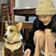 https://himg.bdimg.com/sys/portrait/item/public.1.1632bd06.QprNN--gpokCpKWgByTyog