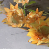 https://himg.bdimg.com/sys/portrait/item/public.1.17a91aa.1qcMJkTJGrD1UJx_8opOuw