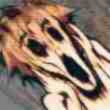 零乱lqy