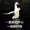 https://himg.bdimg.com/sys/portrait/item/public.1.1b352b7c.t-dGnVD15CEq5z_9tydV7g