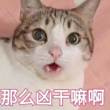 https://himg.bdimg.com/sys/portrait/item/public.1.28a546a8.l94TYb06BXro_lRaavAK5w