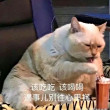 https://himg.bdimg.com/sys/portrait/item/public.1.30686ef2.OXsXpAp9dsBnUYdakhrLMA