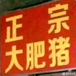 扫描摄像仪