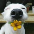 https://himg.bdimg.com/sys/portrait/item/public.1.31d07ae3.m5i-AWutC_kayP2OTtuTEw