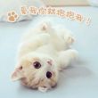 https://himg.bdimg.com/sys/portrait/item/public.1.39f4056d._9tnC89khptuwgKZebKZ9w