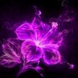 https://himg.bdimg.com/sys/portrait/item/public.1.3bfa783b.O2twlHV_qktCQMtveFlgpg
