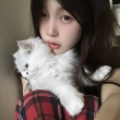 https://himg.bdimg.com/sys/portrait/item/public.1.3cb8df69.9MEMJULNfD2okVa6subpqQ