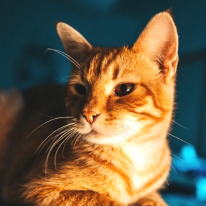 https://himg.bdimg.com/sys/portrait/item/public.1.3f94b5d6.jUk_By-Oi9ojeSXr-XCKsA
