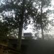 https://himg.bdimg.com/sys/portrait/item/public.1.41d56948.Rro165BvmhEawmKNXmADMA