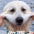 https://himg.bdimg.com/sys/portrait/item/public.1.430e900b.PsvOfbsUcfU_FG2ZoTEXPQ