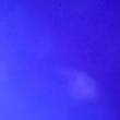 https://himg.bdimg.com/sys/portrait/item/public.1.451022c7.1qY9BviL132R1m5rHCGMiQ
