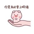 https://himg.bdimg.com/sys/portrait/item/public.1.47595590.vAjJBy90Wr6saDB3Gb1F9w