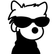 https://himg.bdimg.com/sys/portrait/item/public.1.4b5b80b3.xqNze2Cumk2NyQBNVngc7Q