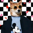 https://himg.bdimg.com/sys/portrait/item/public.1.4e199975.-VE0XTJKCdnbjyTSuRUQdw