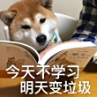 https://himg.bdimg.com/sys/portrait/item/public.1.4f35bb2f.ftXfWVqlErL4V6SMwQmWag
