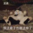 https://himg.bdimg.com/sys/portrait/item/public.1.52f93202.2R5-Ec8Se9yOFVdSlwDHBw