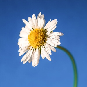 https://himg.bdimg.com/sys/portrait/item/public.1.54d59900.tZZaHaIARJFqeUCtY6-IUw