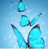 https://himg.bdimg.com/sys/portrait/item/public.1.55002a46.mWkU2AI9-DsMdIJ2tyrAug