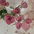 https://himg.bdimg.com/sys/portrait/item/public.1.5bb1e2a1.s5pda4jgoGDjgcKFevjmMQ