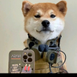 https://himg.bdimg.com/sys/portrait/item/public.1.5bb5449a.XVCWaVS8PLmQ3Bu5BrfeEQ