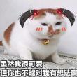 https://himg.bdimg.com/sys/portrait/item/public.1.5d24c1c6.N04RSUWHKTFSAoQssI56yQ