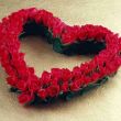linchi880