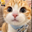https://himg.bdimg.com/sys/portrait/item/public.1.60bf9586.Wqy7yKYPMZmiuyImeIiQFw