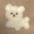 https://himg.bdimg.com/sys/portrait/item/public.1.61c9fa23.Q_qU9Ya-X932DEhbSVLszw