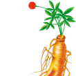昆仑摆渡