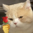 https://himg.bdimg.com/sys/portrait/item/public.1.657c4ea9.8P0dlMlnZOYqcfRB1Zw1Sg