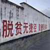 https://himg.bdimg.com/sys/portrait/item/public.1.6815dd14.9o9Qdgm8G2cOOGOPxyUQ4g