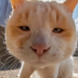 https://himg.bdimg.com/sys/portrait/item/public.1.68f828a.0LrvX5fPuwsOkeTPJ2PVaA