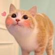 https://himg.bdimg.com/sys/portrait/item/public.1.696f28f.BkaGMWc9orimsCRJlTbKzQ