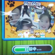 dz***归人