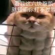 https://himg.bdimg.com/sys/portrait/item/public.1.727a6a8c.td3g_-vwbkTLD-jpx4BwHg