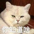 https://himg.bdimg.com/sys/portrait/item/public.1.7487d11.FTqGOLWmAbFSsKrbr1XxMA