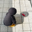  Xuandong has nine
