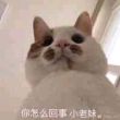 https://himg.bdimg.com/sys/portrait/item/public.1.79f0332b.no_HdO5-jkZxasGEfWfVNg
