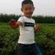 https://himg.bdimg.com/sys/portrait/item/public.1.7b139851.--y4A0M97p-PIUoG3R7F1Q