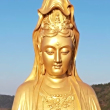 https://himg.bdimg.com/sys/portrait/item/public.1.7f5ee988.1608GaHsCgJS6iMZxf9fJw